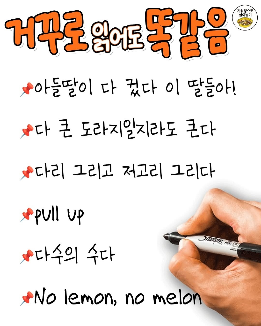 거꾸로 읽어도 똑같은 문장 | 인스티즈