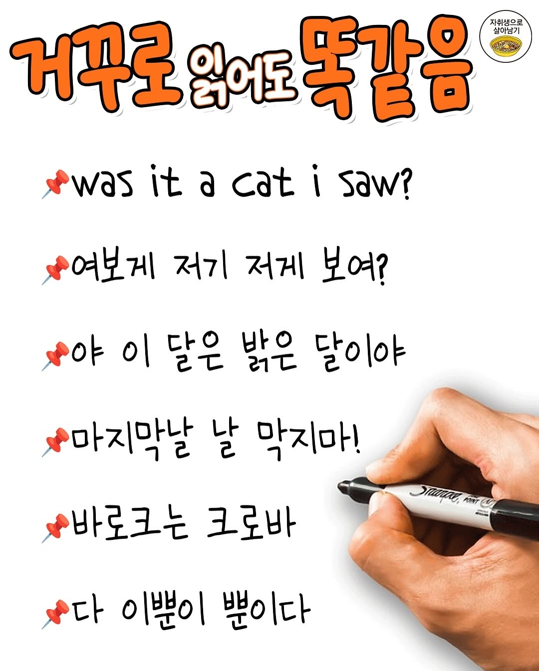 거꾸로 읽어도 똑같은 문장 | 인스티즈