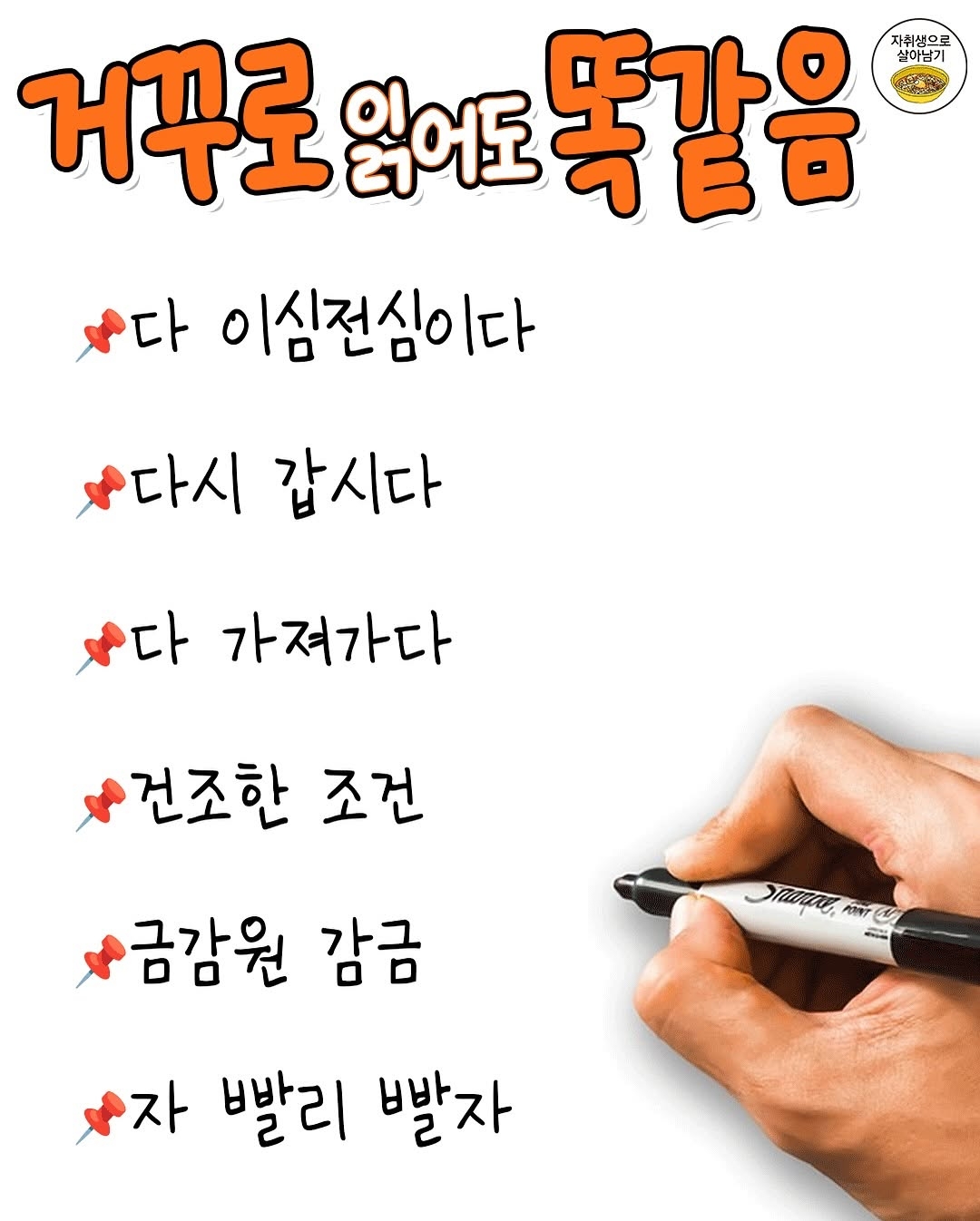 거꾸로 읽어도 똑같은 문장 | 인스티즈