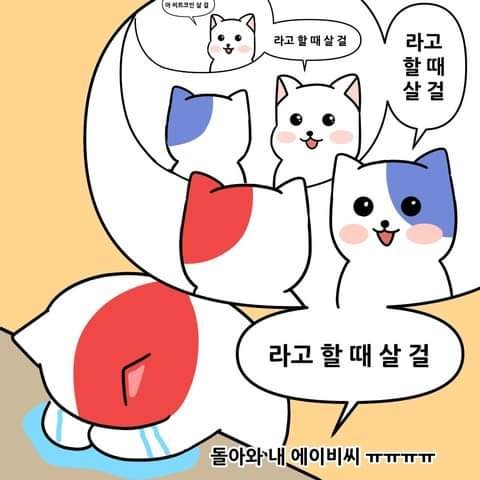 요즘 한국에 유행한다는 밈 | 인스티즈