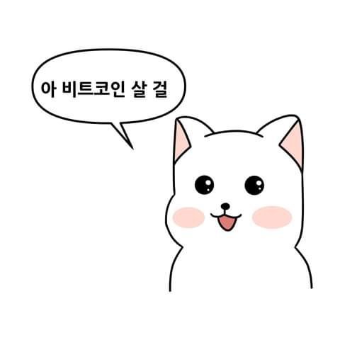 요즘 한국에 유행한다는 밈 | 인스티즈