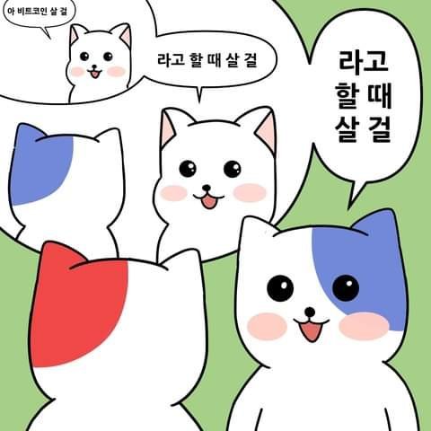 요즘 한국에 유행한다는 밈 | 인스티즈