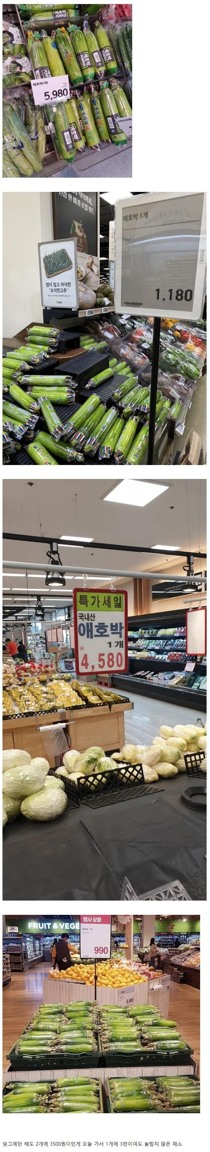 채소계의 비트코인 - 에누리 쇼핑지식 자유게시판