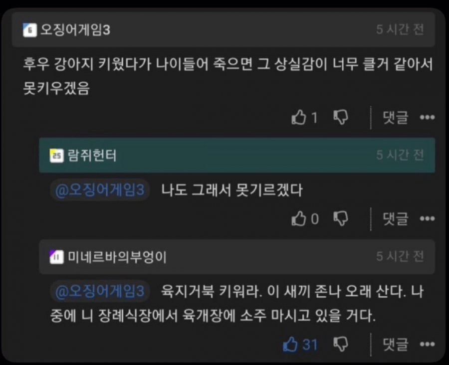 상실감이 클 거 같아서 강아지를 못 키우겠다는 사람 | 인스티즈