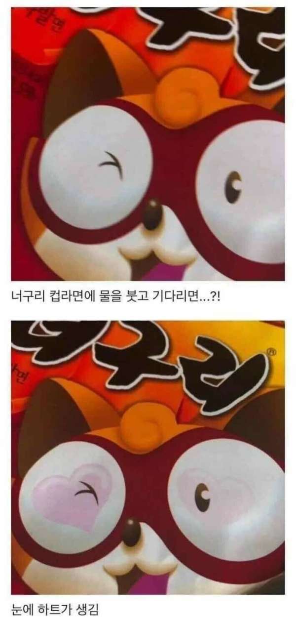 너구리 컵라면의 비밀 | 인스티즈