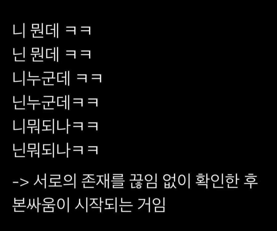 경상도 싸움 특징 | 인스티즈