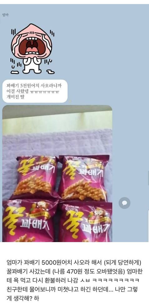 꽈배기 5천원어치 사오래서 사갔더니 | 인스티즈