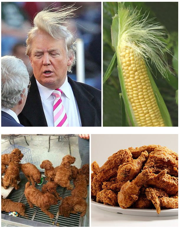 우연히 닮아버린 재밌는 사진 | 인스티즈