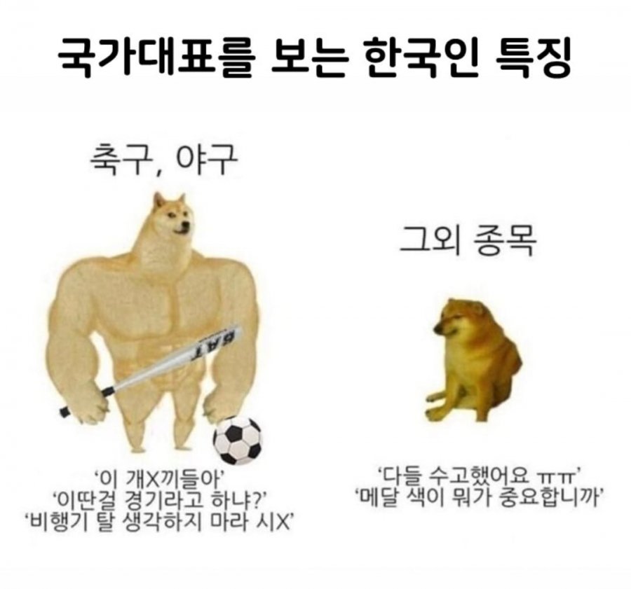 국가대표를 보는 한국인 특징 | 인스티즈