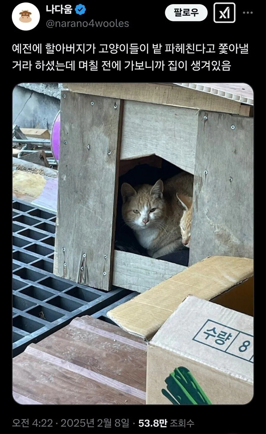 밭 파헤친 고양이 쫓아낼거라던 할아버지 | 인스티즈