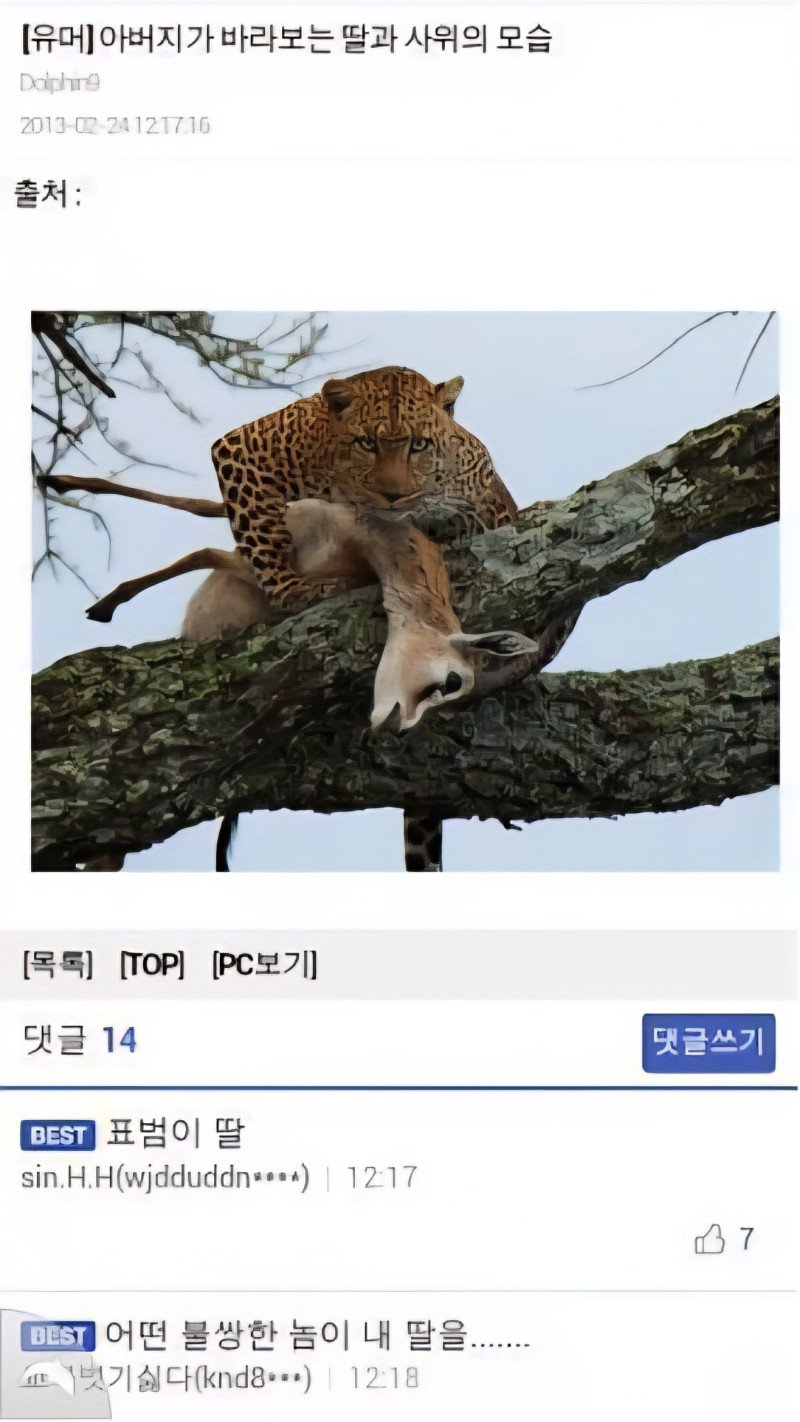 아버지가 보는 딸과 사위의 모습 | 인스티즈