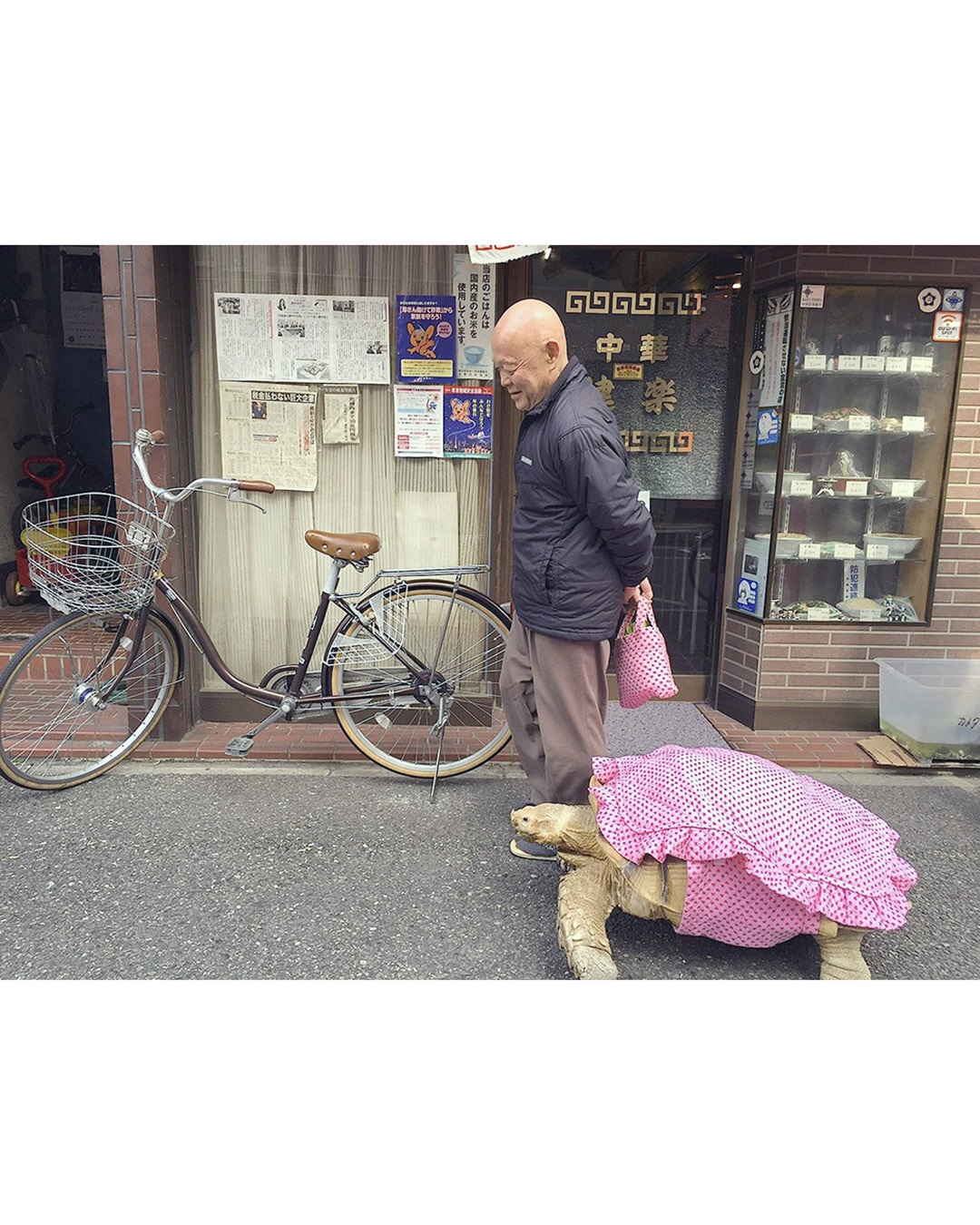 이별의 슬픔이 없는 반려 동물 | 인스티즈