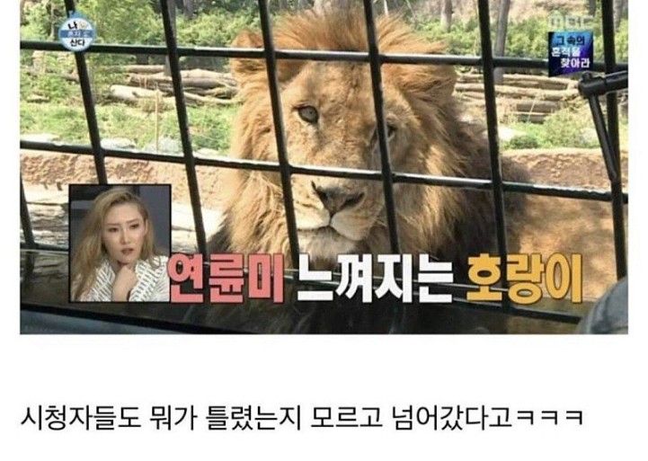 다들 뭐가 이상한지 눈치 못챘다는 프로그램 자막 오류 | 인스티즈