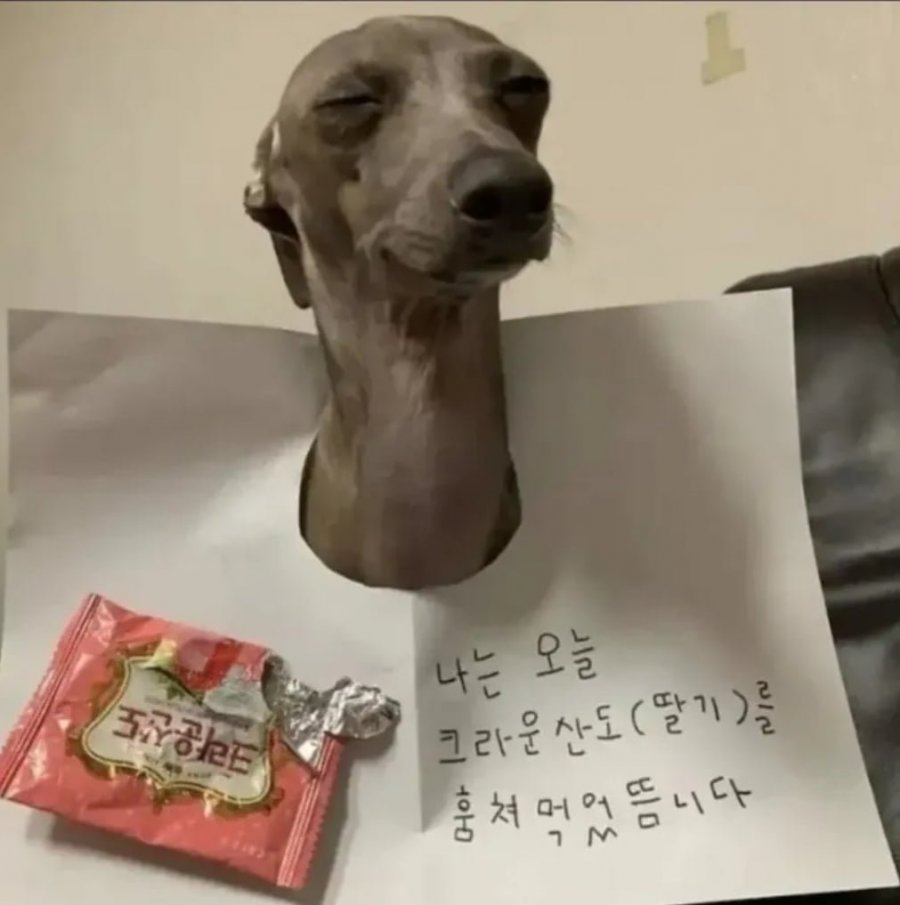 후회없는 선택 | 인스티즈