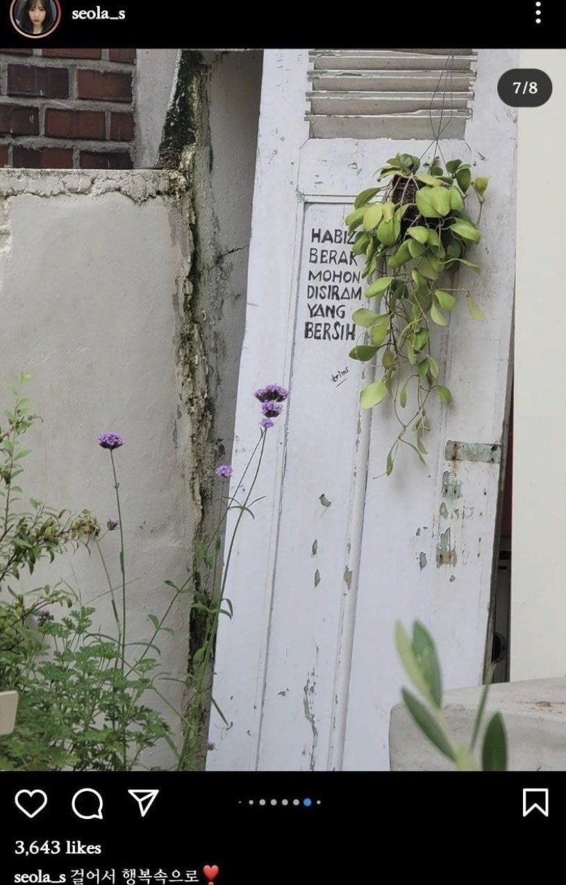 누가 언니한테 알려주실 분 - 에누리 쇼핑지식 자유게시판