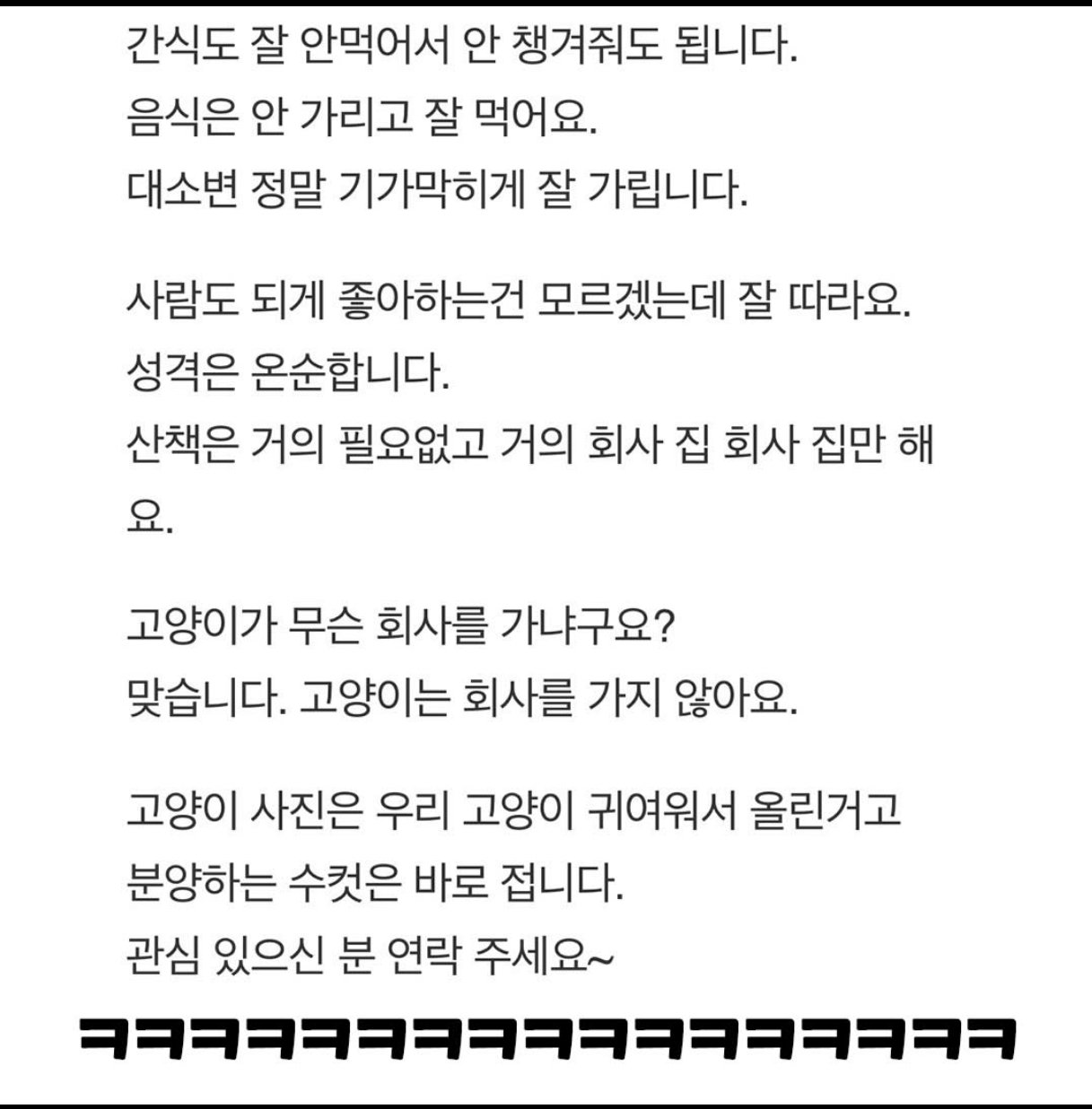 사정이 생겨서 분양합니다 | 인스티즈