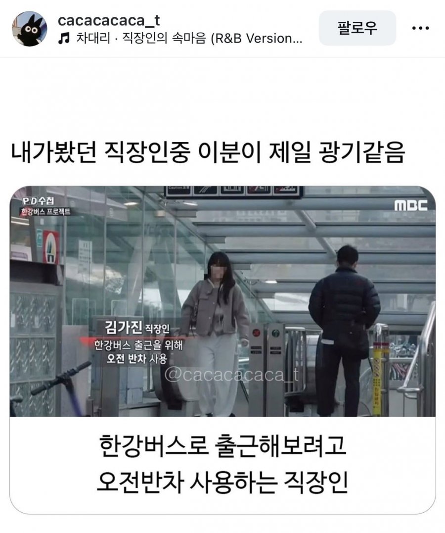 실험정신 충만한 직장인 | 인스티즈