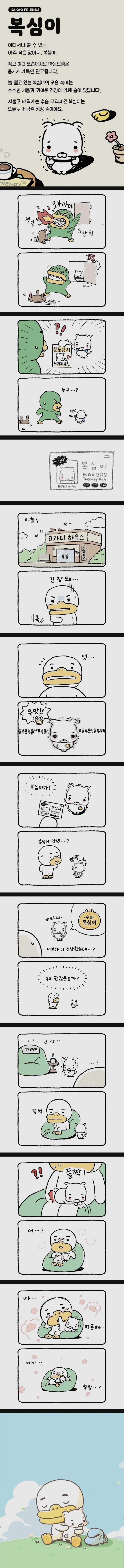 카카오 프렌즈 신규 캐릭터 복심이 | 인스티즈