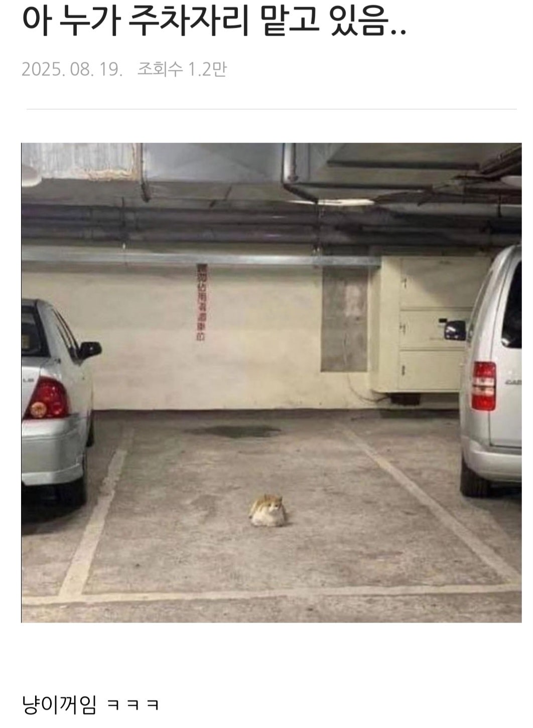 아.. 누가 주차자리 맡고 있음 | 인스티즈