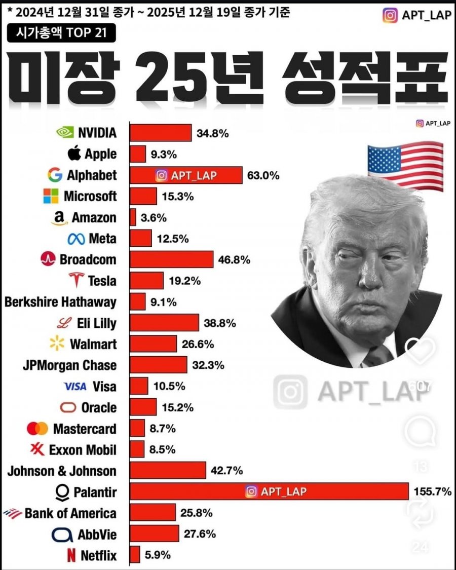 시가총액 TOP 21 미장 25년 성적표 - 에누리 쇼핑지식 자유게시판