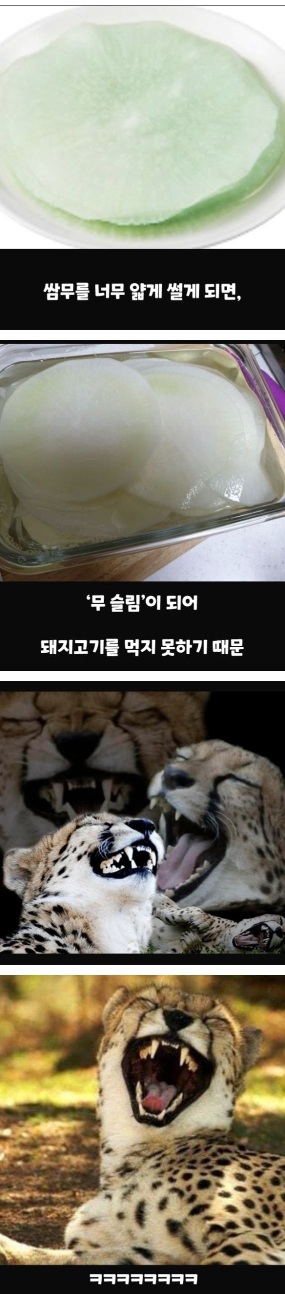 너무 얇은 쌈무를 먹으면 안되는 이유 | 인스티즈