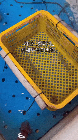 어느 횟집 대참사 | 인스티즈