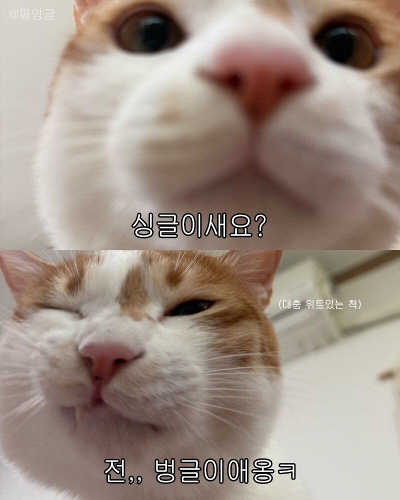 싱글이야? | 인스티즈