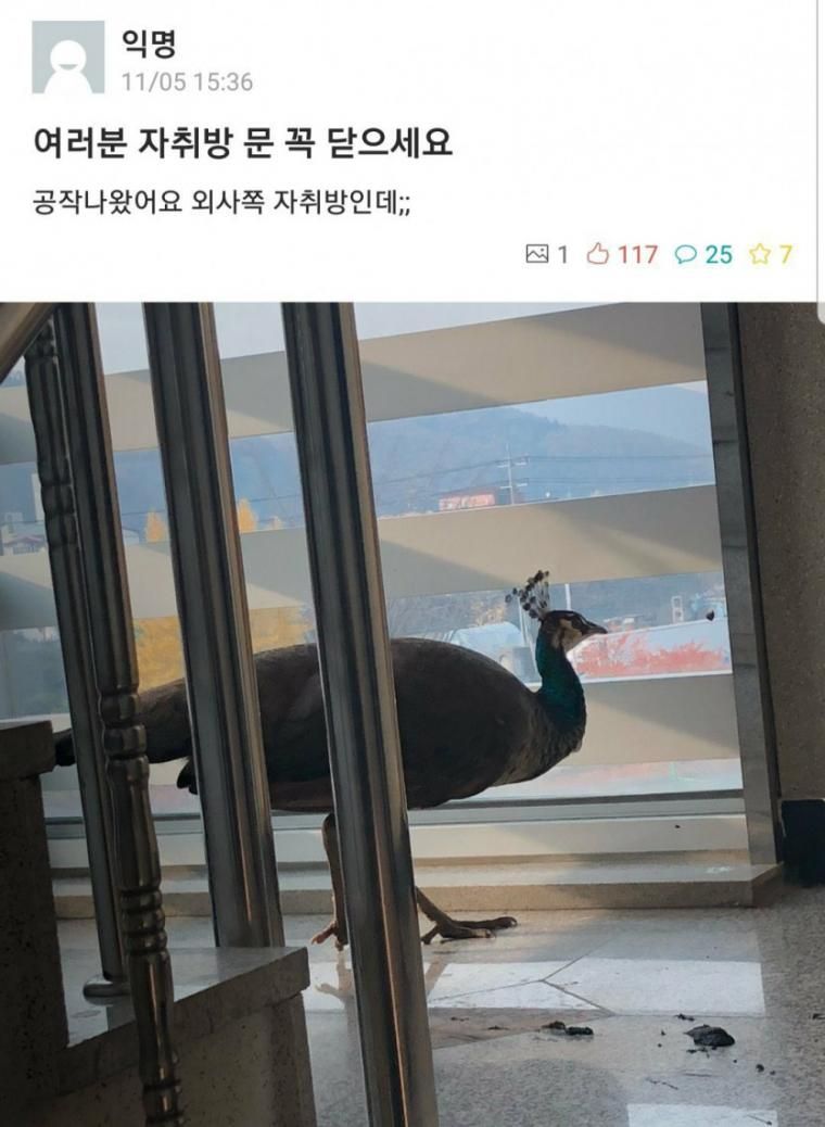 자취방 문 꼭 닫으세요 | 인스티즈