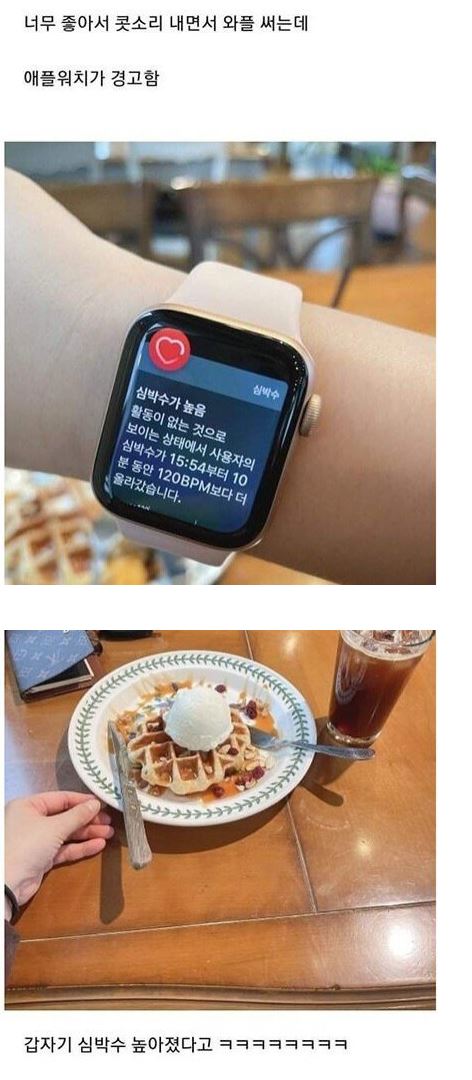 와플 써는데 애플워치가 경고함 | 인스티즈