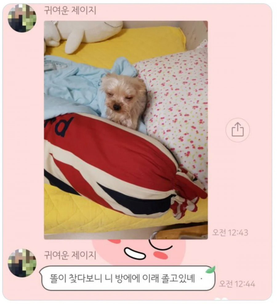 외박했더니 내방에서 | 인스티즈