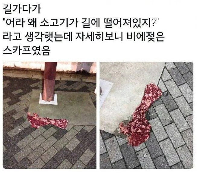 길가다 발견한 소고기 | 인스티즈