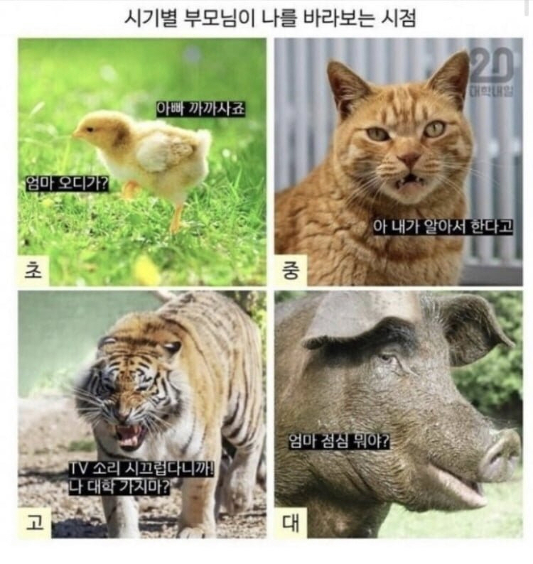 시기별 부모님이 나를 보는 시점 | 인스티즈