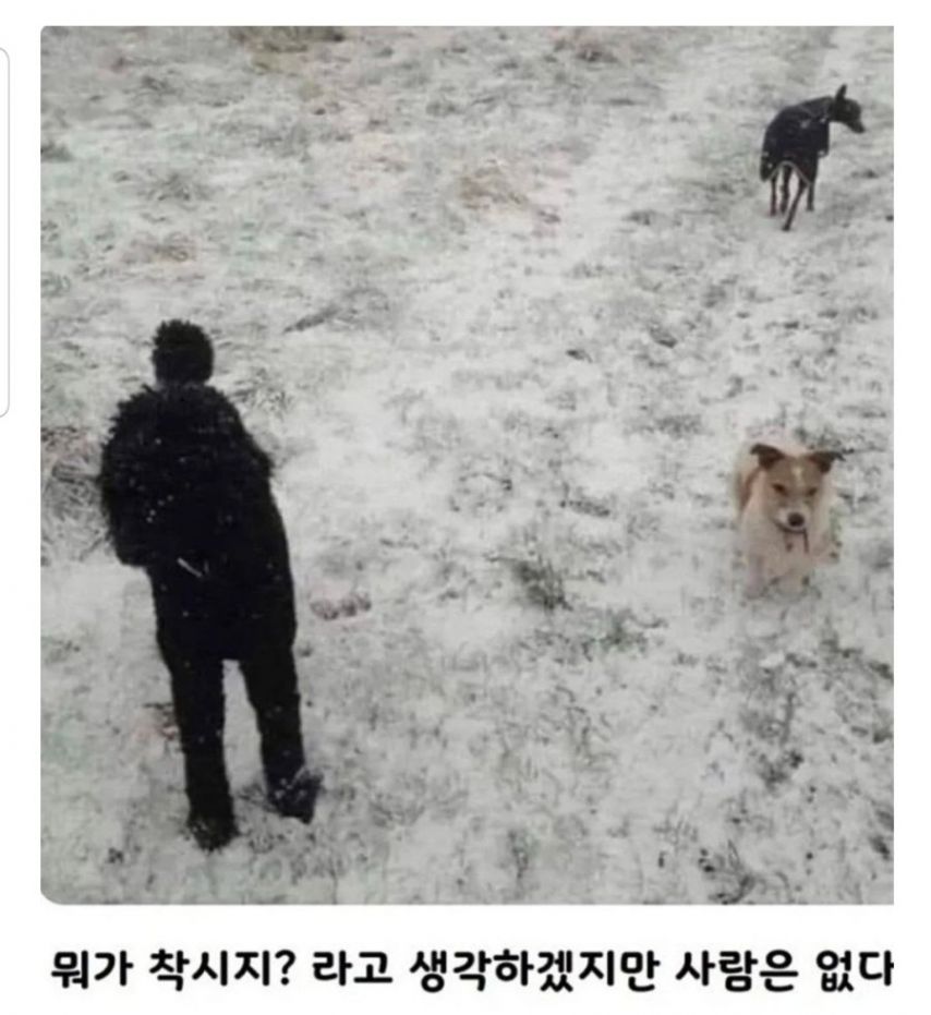 착시 장면 | 인스티즈