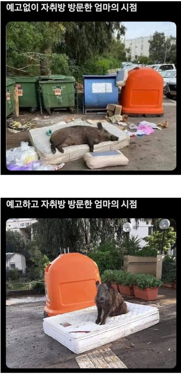 자취방에 방문한 엄마의 시점 | 인스티즈