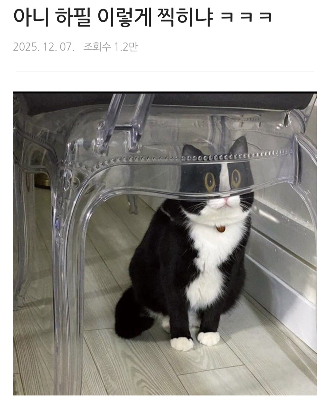 아니 하필 이렇게 찍히냐 | 인스티즈