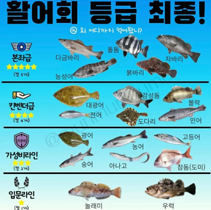 활어회 등급표 | 인스티즈