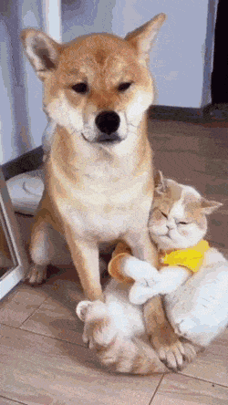 우리는 친한 친구 | 인스티즈