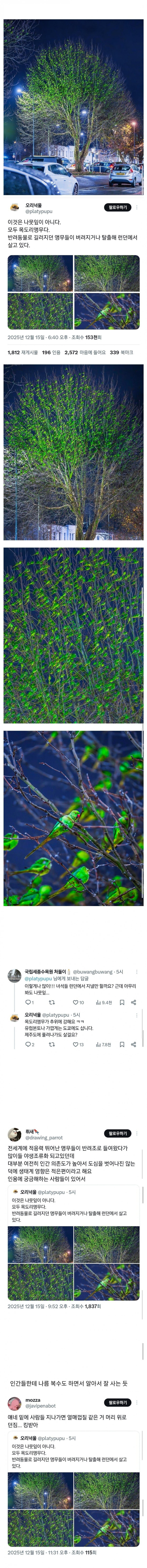 놀랍게도 나무에 달린게 나뭇잎이 아니라는 사진 | 인스티즈