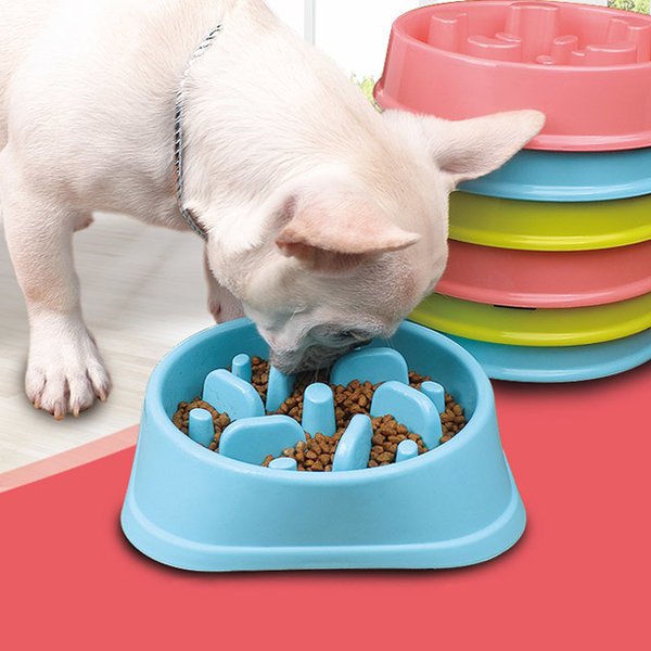 강아지 급체 방지 밥그릇 | 인스티즈
