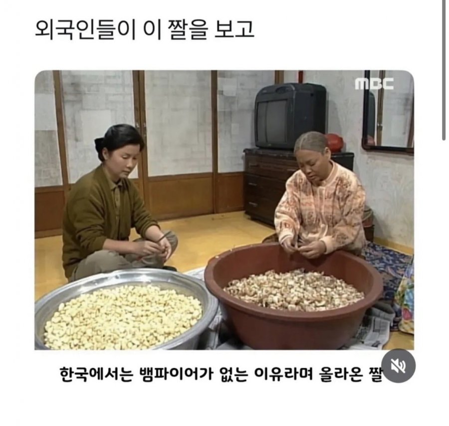 한국에 뱀파이어가 없는 이유 | 인스티즈