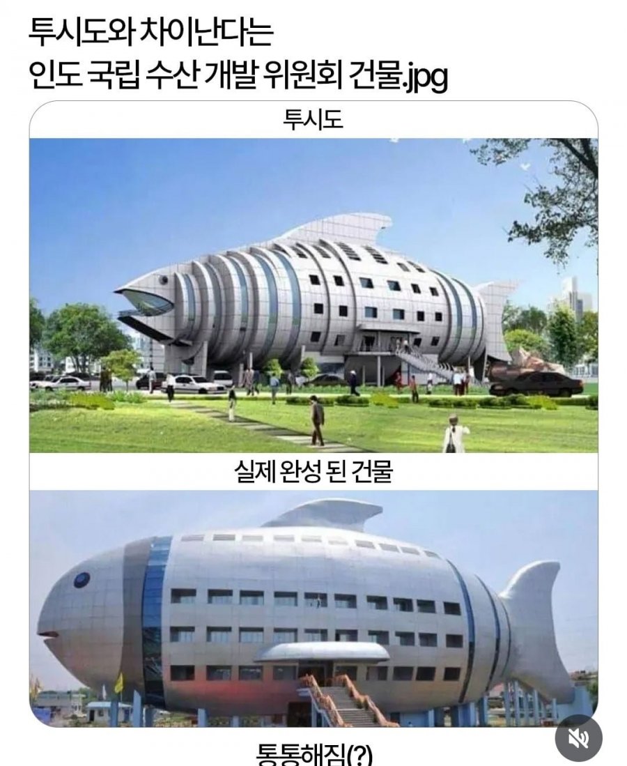 투시도와 차이난다는 인도 국립 수산 개발 위원회 건물 | 인스티즈