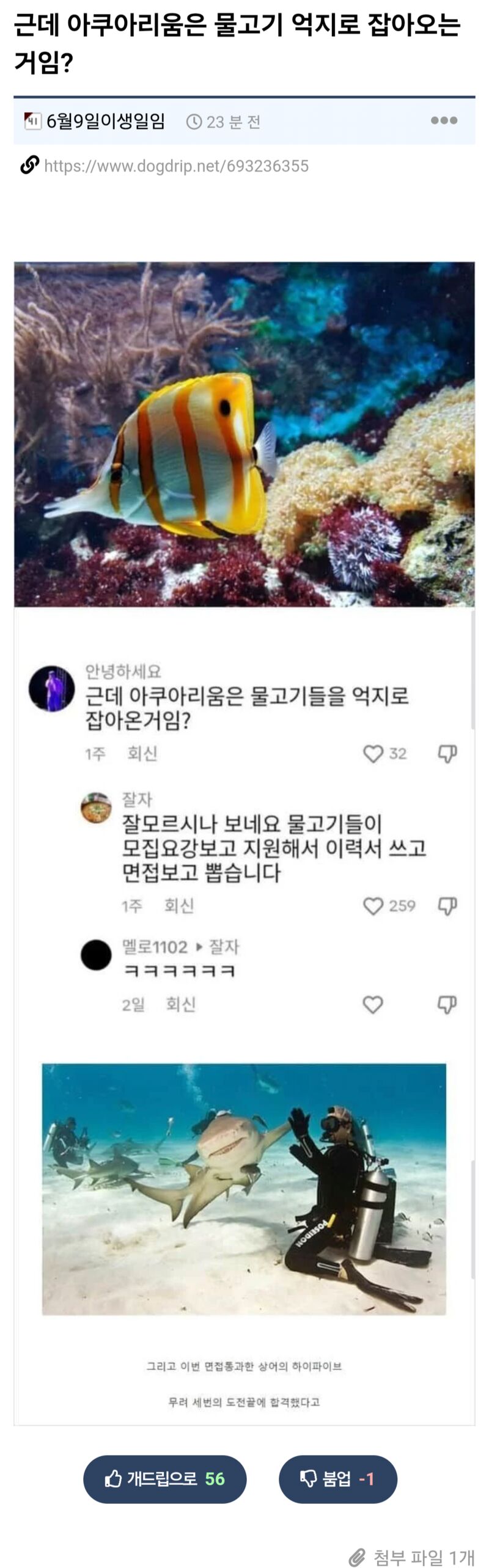 근데 아쿠아리움 물고기 억지로 잡아오는 거임? | 인스티즈