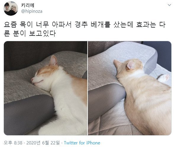 목이 너무 아파서 경추 베개를 샀는데 | 인스티즈
