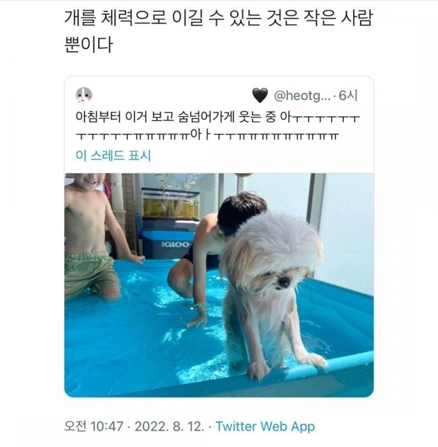 개를 체력으로 이길 수 있는건 작은사람뿐이다 | 인스티즈