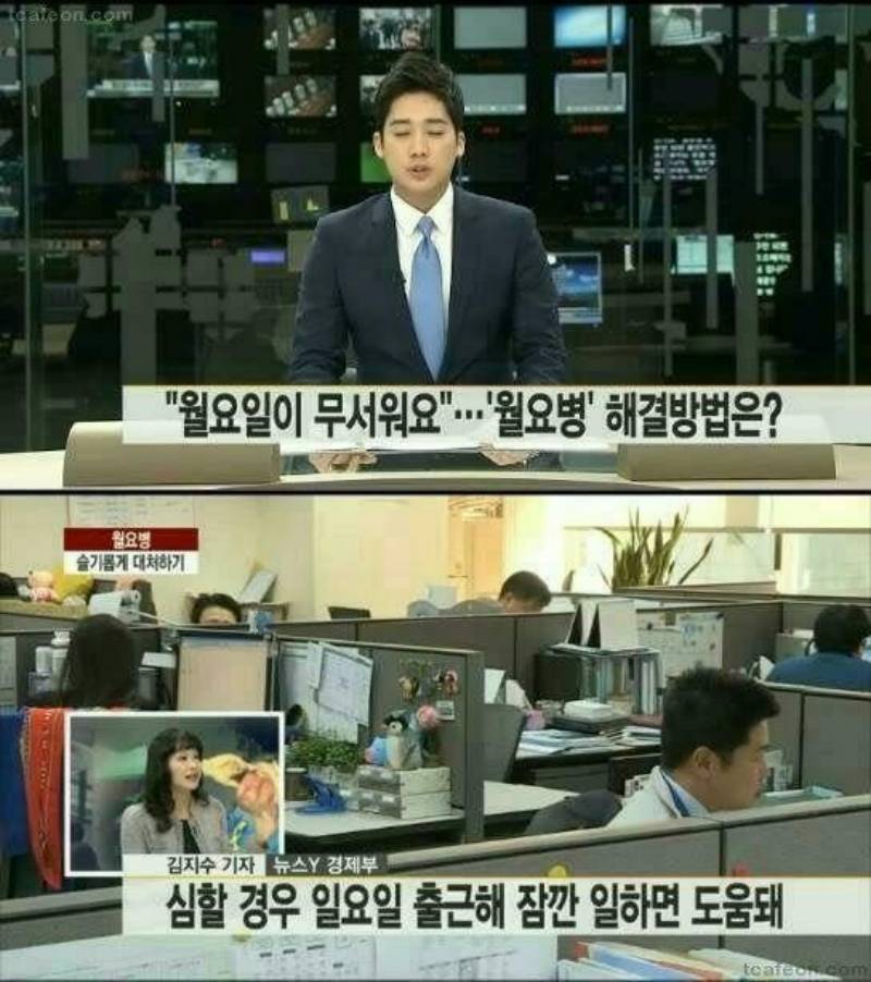 뉴스에서 알려주는 월요병 해결책 | 인스티즈