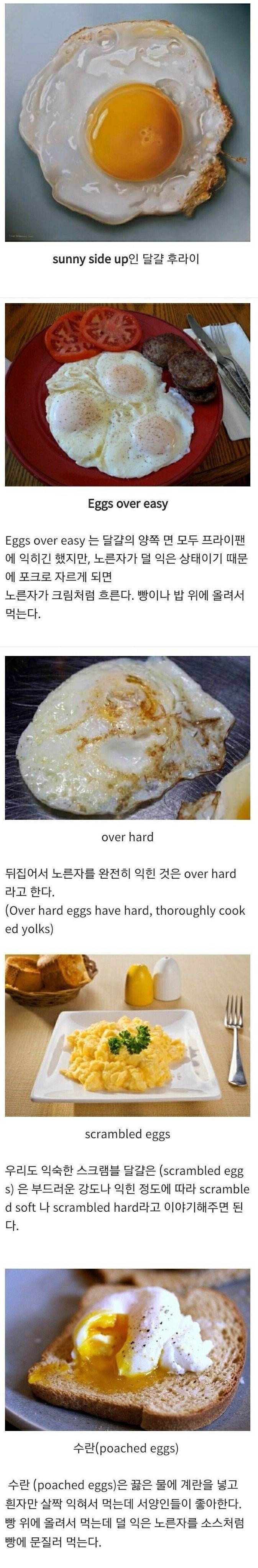 외국에서 계란 요리 부르는 명칭 | 인스티즈