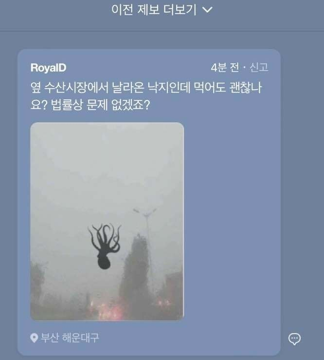 낙지 먹어도 되나요? | 인스티즈
