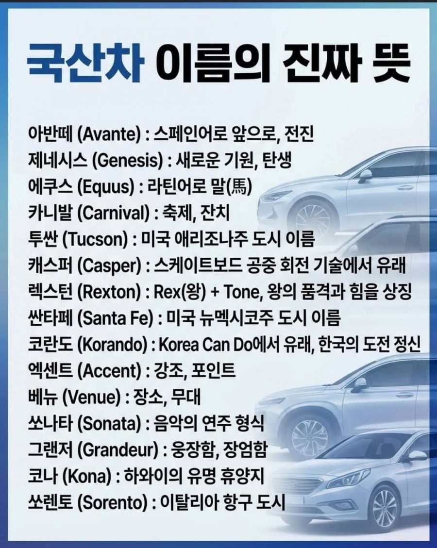 국산차 이름의 진짜 뜻 | 인스티즈