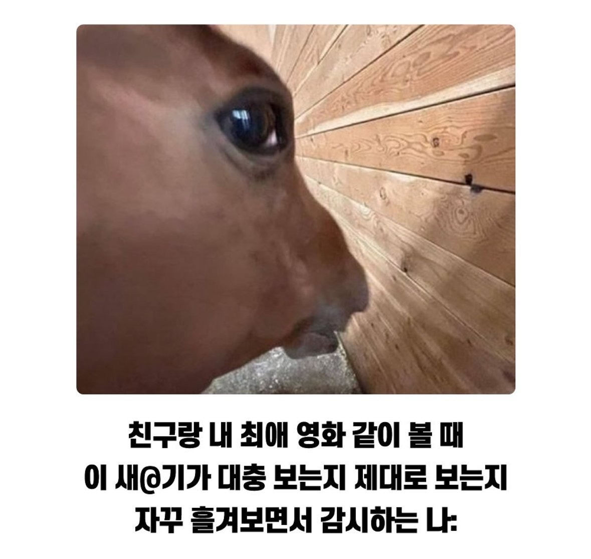 친구랑 내 최애 영화 같이 볼 때 | 인스티즈