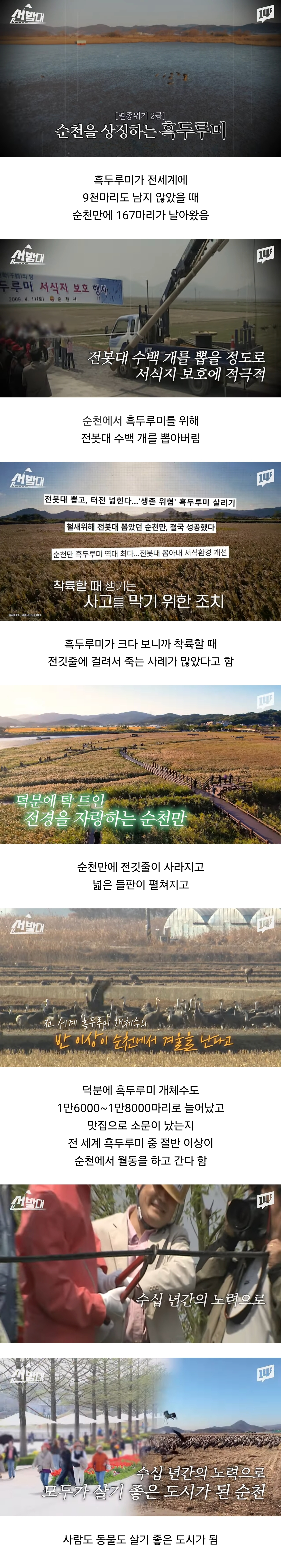 순천이 전봇대 수백개를 뽑아버린 이유 | 인스티즈